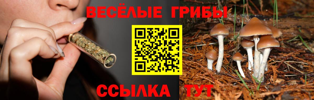 Галлюциногенные грибы мухоморы  Вход с VPN  Усолье-Сибирское 